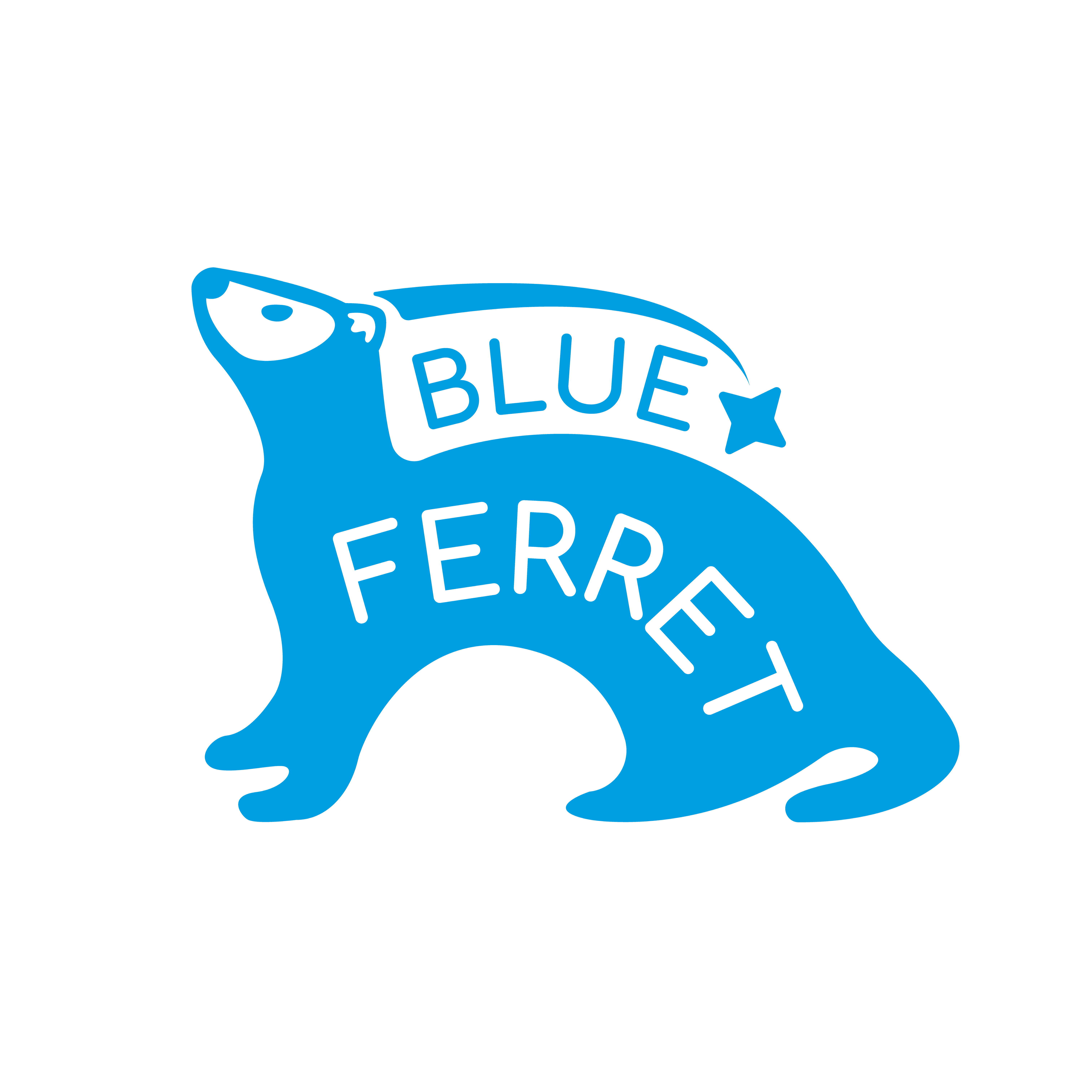 Blue Ferret